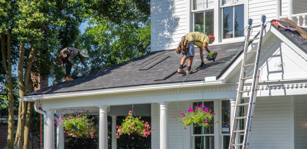 Best Local Roofing Companies  in Linntown, PA